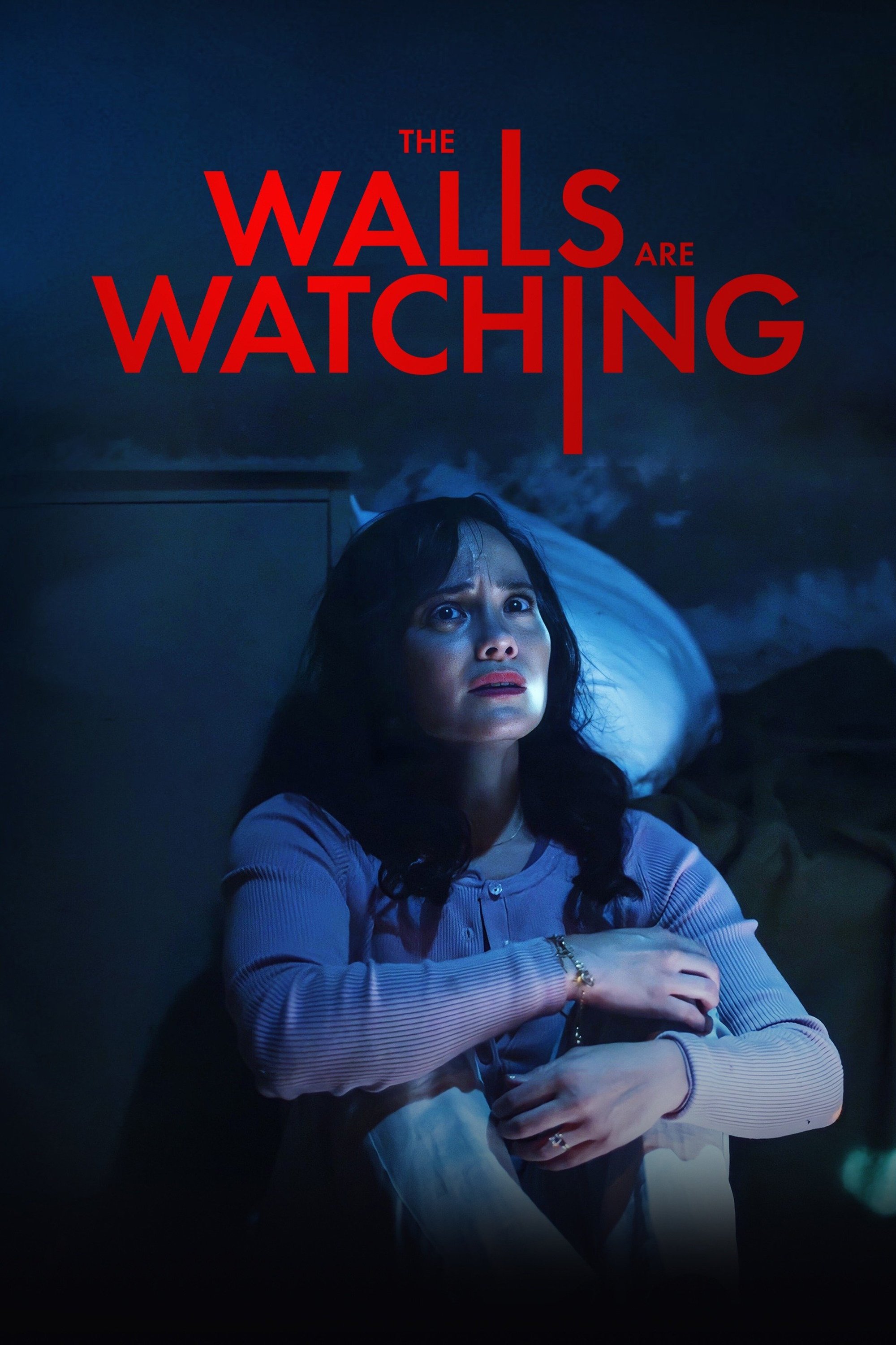 The Walls Are Watching poster