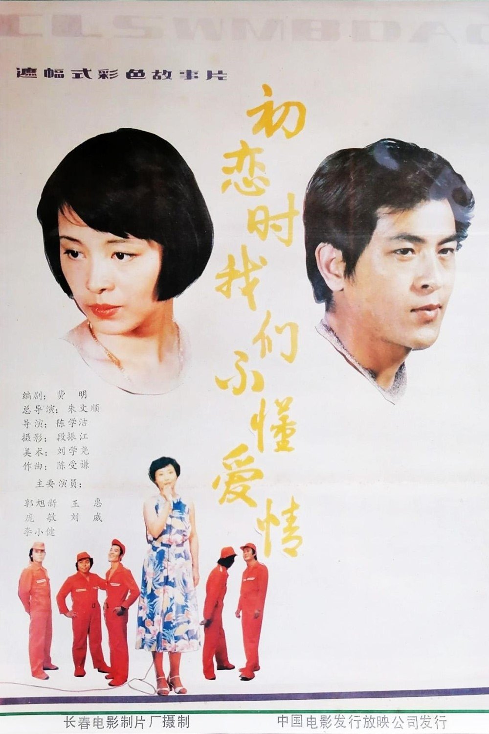 We Didn't Know Love During First Love poster